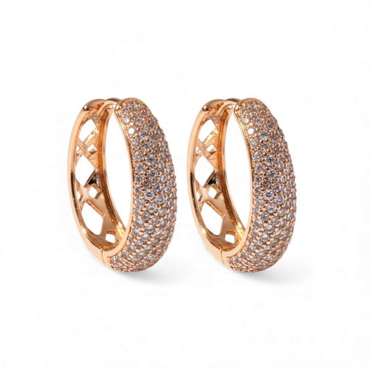  - Royal Glow – Grezni mirdzošie auskari - 1